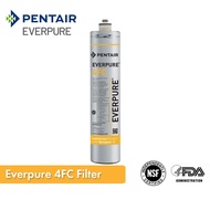 Pentair Everpure 4FC Filter Cartridges EV9692-21