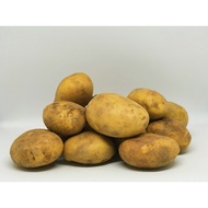 Ubi Kentang / Potato 500g/1kg+-