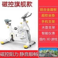 Magnetic Control Silent Spin Bike Indoor Exercise Fitness Bike Home Weight Loss Pedal Bike Fitness E