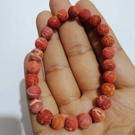 gelang marjan asli red marjan ori