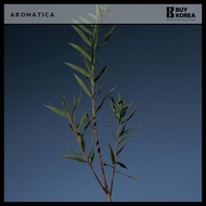 [aromatica] Aromatica Tea tree Purifying Shampoo Vegan Oily Scalp Hair loss Functional Cool shampoo 