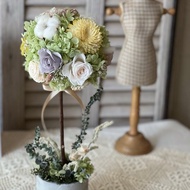 黃檸檬綠 花球樹 開幕禮 送禮合適