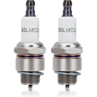 Powtol RCJ8Y Spark Plug for Champion RCJ6Y RCJ7Y,NGK 6703 BPMR7A BPM7C,TORCH L7RTC, BOSCH WSR6F,Stih