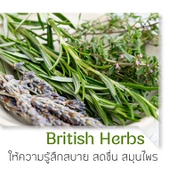 AMAREE แบบเติม ก้านไม้หอมปรับอากาศ ขนาด 1000 ml (Refill Reed Diffuser 1000 ml)