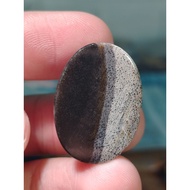 Fossil Gemunggal Polished Unit Multiwarna Besar Saiz 50Sen Lama (26mm x 19mm)