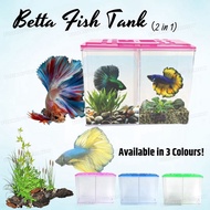 2 In 1 Double Betta Fish Aquarium Fish Tank / Plastic Betta Guppy Tank With Divider / Akuarium Ikan Laga