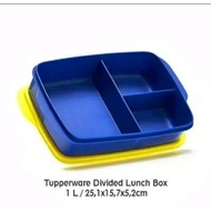 Tupperware Divided Lunch Box