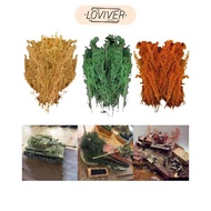 [Loviver] Model Trees Miniature Trees Sand Table Hobby Train Scenery Material Resin Architecture Tre