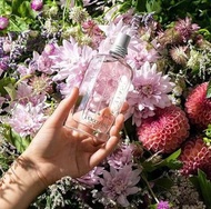 Loccitane 歐舒丹櫻花淡香水75ml