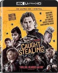 4K BLURAY English Movie Caught Stealing ( 2025 )