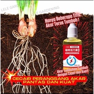 Vitamin Tumbuhan,Merangsang BungaTunas dan Akar yang Kukuh,Sesual untuk SemuaJenis Succulent dan Tan