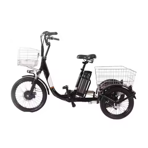 Cheap Electric Tricycle for Adults Foldable Urban Deliver Electric Assist Tricycle Electric Trike Ad