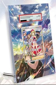 ‼️熱賣 不連卡‼️珠貝SAR 天地萬物VStar s12a 寶可夢卡牌卡架 展示架 PTCG卡磚展示架Pokemon Card PSA10 PSA9 CGC10 SAR 寶可夢卡牌卡架展示架 ptc