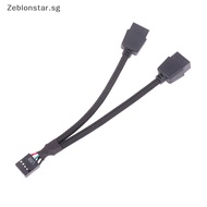 【Zeblonstar】 1Pc Computer Motherboard USB Extension Cable 9 Pin 1 Female To 2 Male Y Splitter Audio HD Extension Cable For PC DIY 15cm ~~