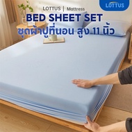 LOTTUS Bed Sheet Set (Including Pillowcases) Height 11 Inches Size 3 Feet 3.5 5 6