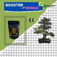 pupuk bonsai serut, bonsai asem jawa, bonsai sancang