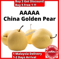 MSB Organic Fresh Sweet Golden Pear Fruit Buah Pir Emas Manis Segar Doorgift Dropship