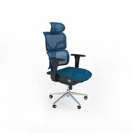 PROFLEX ATTIMO人體工學高背扶手轉椅705W x 740D x 1250-1391Hmm