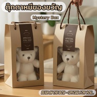 Mystery Box Teddy Bear Gift White "Special For You A Special To Someone You. ️
