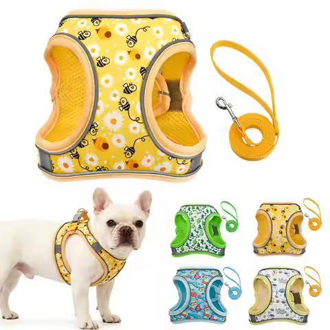 DH009Cartoon-Dog harness and leash set features a breathable honeycomb mesh design to prevent overhe