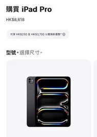 iPad Pro 11” (M4) 256GB
