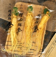 Ginseng Merah Korea Hidup Perbatang 100gram 100% Asli