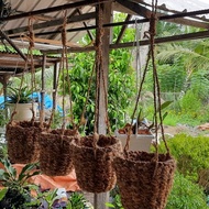 POT ANGGREK GANTUNG - TEMPAT BUNGA SABUT KELAPA - VAS GANTUNG - POT BUNGA HIAS