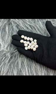 ต่างหูไข่มุกน้ำจืดธรรมชาติ ทรงรีเจาะครึ่งวงกลม ไข่มุกเต็มเม็ด 1 ชิ้น สำหรับผู้หญิง ขนาด 9.0x11.00 มม