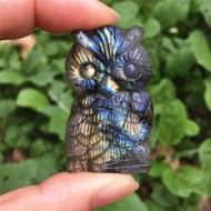 、‘】【【 Natural Labradorite Stone Quartz Crystal Hand Carved Owl