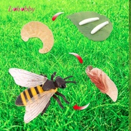 Lohobby Animal Growth Cycle Figure Puzzle Science Farm Animals Figurines Teaching Props
