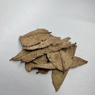 Organic Guava Leaves for Aquarium (Aquatic Botanicals)