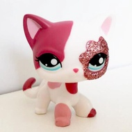 ▧ LPS CAT Littlest pet shop bobble head toys standing cat black orange animal dog dachshund cocker s