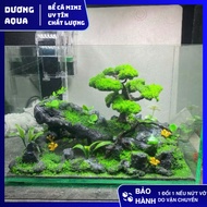 Mini Fish Tank Size D30 x W20 x H20 With Artificial Layout