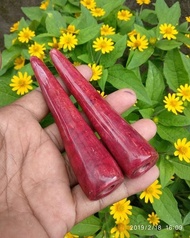Promo pipa rokok ONCE BATU MARJAN KARANG MERAH HKT 133 Berkualitas