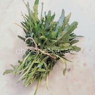 WILD RUCOLA 250GR FRESH ROCKET LETTUCE DAUN ARUGULA RUCCOLA SEGAR