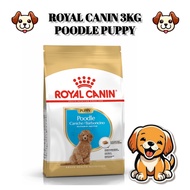 Royal Canin Puppy Poodle Junior 3 kg Puppy Food Poodle