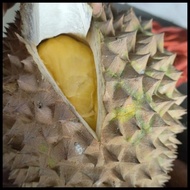 Durian Utuh Fresh Petruk Harga Promo