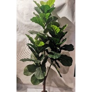 READY STOCK Large Simulate Fiddle Fig Tree