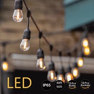 S14 10pcs 1watt Led Bulb