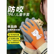 [Within a Week700+People List]TPE Food Grade Children's Cartoon Gloves Hamster Parrot Anti-Scratch B