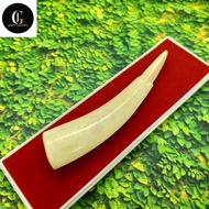 pipa once iga duyung motif unik original NZ 43