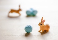 奧勒岡種子球 (5顆裝/不含花器培養土)