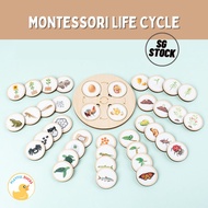 [SG stock] Montessori Life cycle set | Wooden educational insect learning toy set