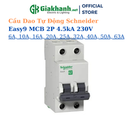 Aptomat - MCB Schneider Easy9 6A 10A 16A 20A 25A 32A 40A 50A 63A 4.5kA 2P