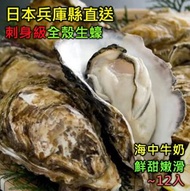 日本兵庫縣播磨灘刺身級全殼生蠔(~600g) (40-59g, 12入) (急凍 -18°C) #尚上品 #海鮮 #解凍即食 #BBQ #燒烤 #打邊爐 #火鍋
