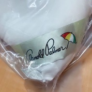 全新 雨傘牌Arnold Palmer台灣製天絲枕頭 枕頭 天絲 3M天絲布