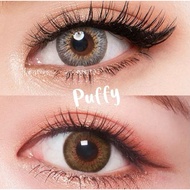 【🇲🇾Destiny Western Eyes🇲🇾】Puffy 16MM Grey/Brown/Hazel Korea Color Contact Lens Free Lens Case