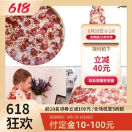 Burrito Blanket Digital Printed Pizza Blanket Flannel Nap Blanket Tortilla Double-Sided Blanket