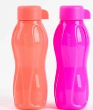 Tupperware Eco Bottle 310ml