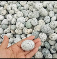 New Batu Koral Telur Puyuh Dekorasin Taman Kemasan 1kg